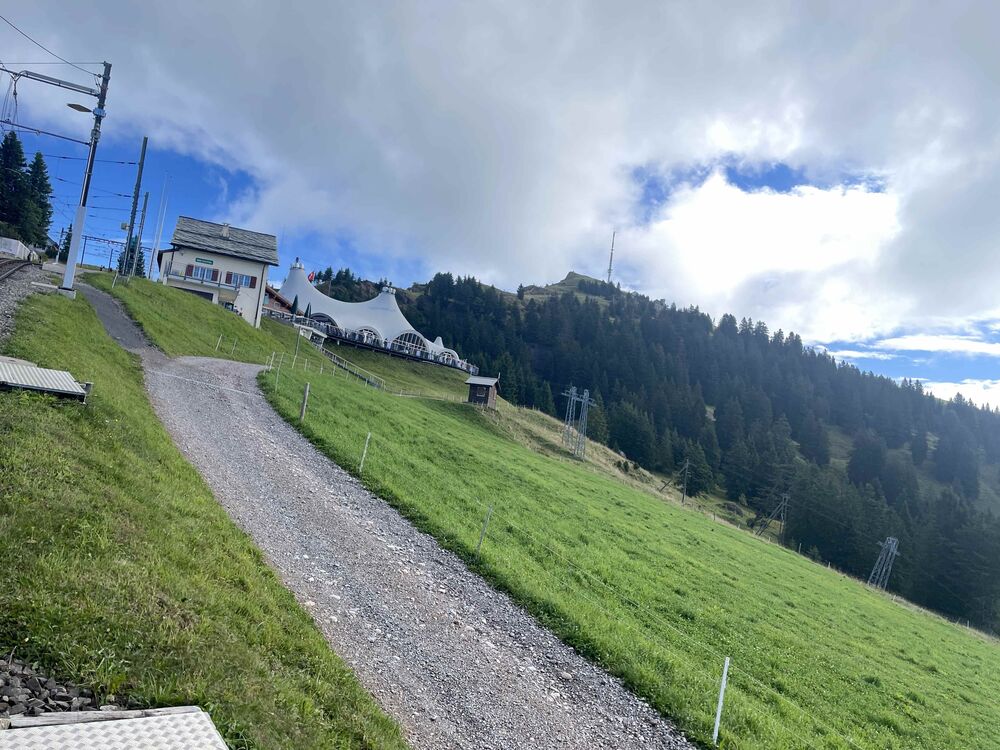 Gebiet Rigi Staffel, im Hintergrund Rigi Kulm. (Foto: Peter Warthmann)